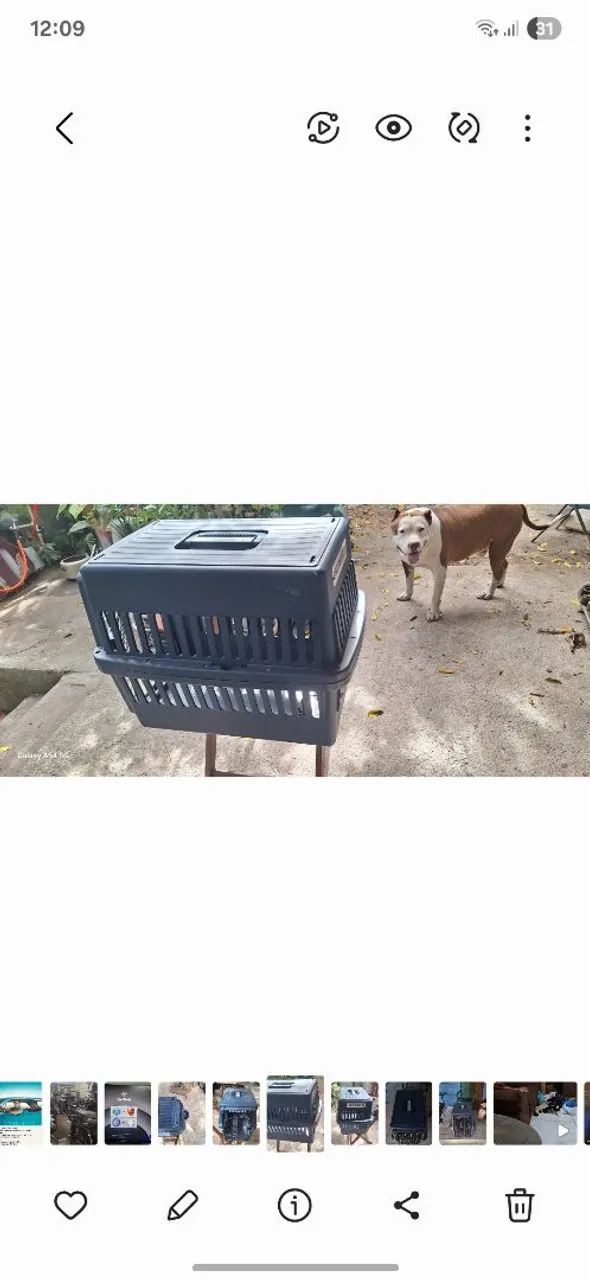 Caixa de transporte para animais - Foto 2