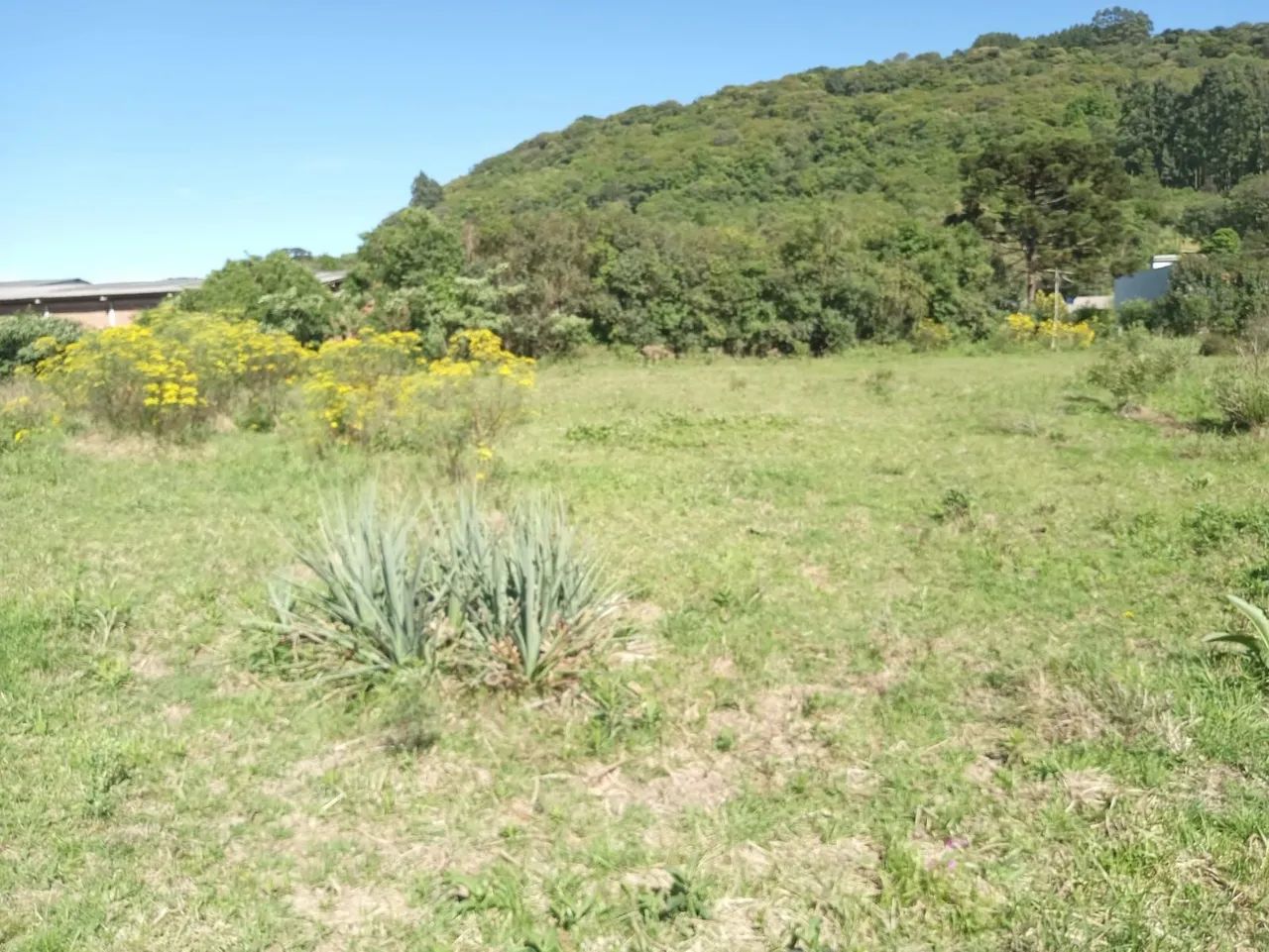 Sítio de 2 hectares em Gramado 