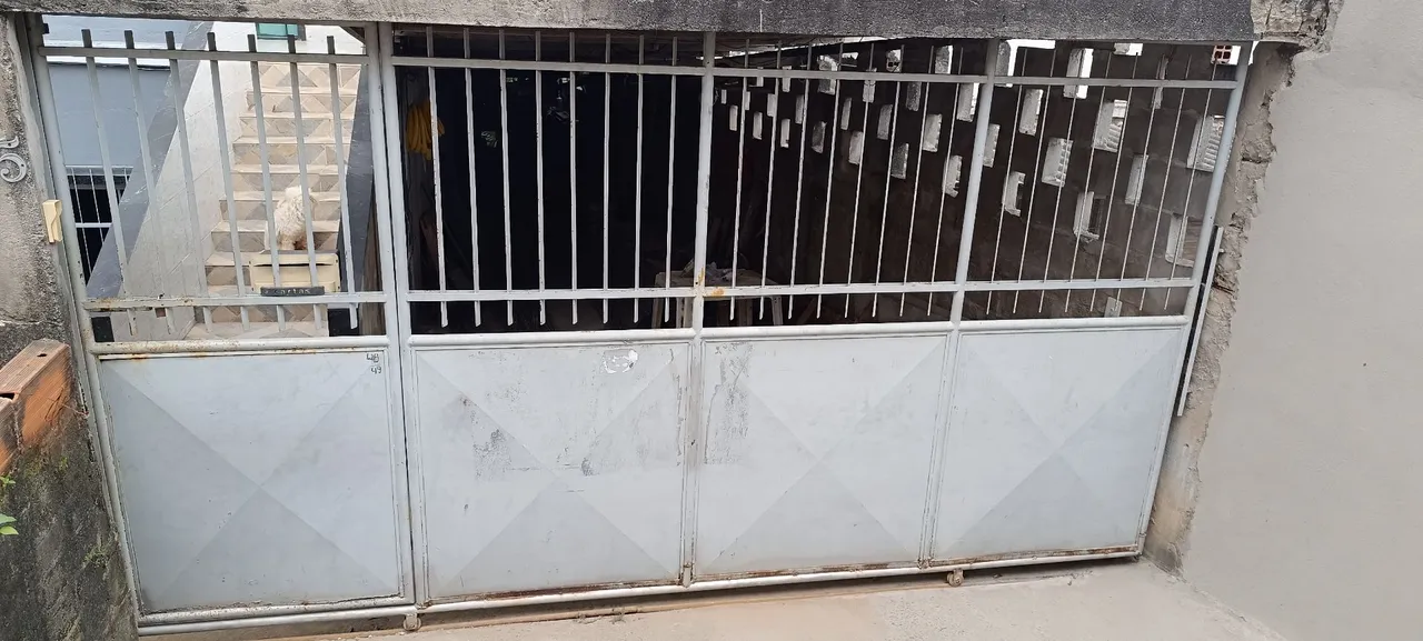Portão de garagem e social 