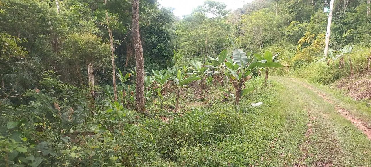 Chacara 10mil metros Itariri SP..molezinha