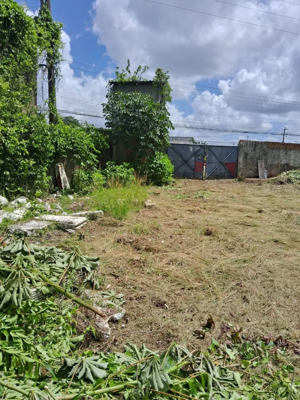 ALUGO TERRENO NA AUGUSTO MONTENEGRO PRÓXIMO DA PMZ MEDINDO 21 X 841,44