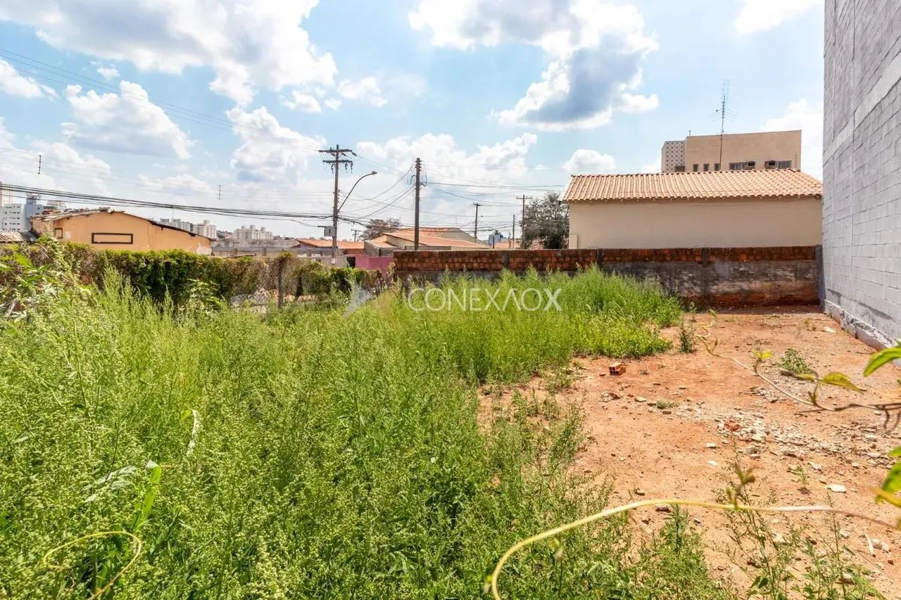 terreno - Vila Marieta - Campinas - Foto 3