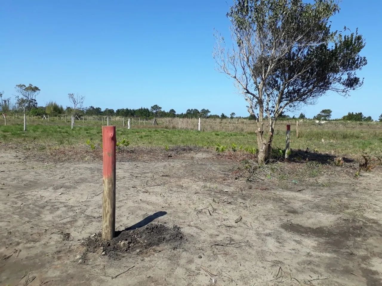 Vendo terreno em torres RS - Foto 2
