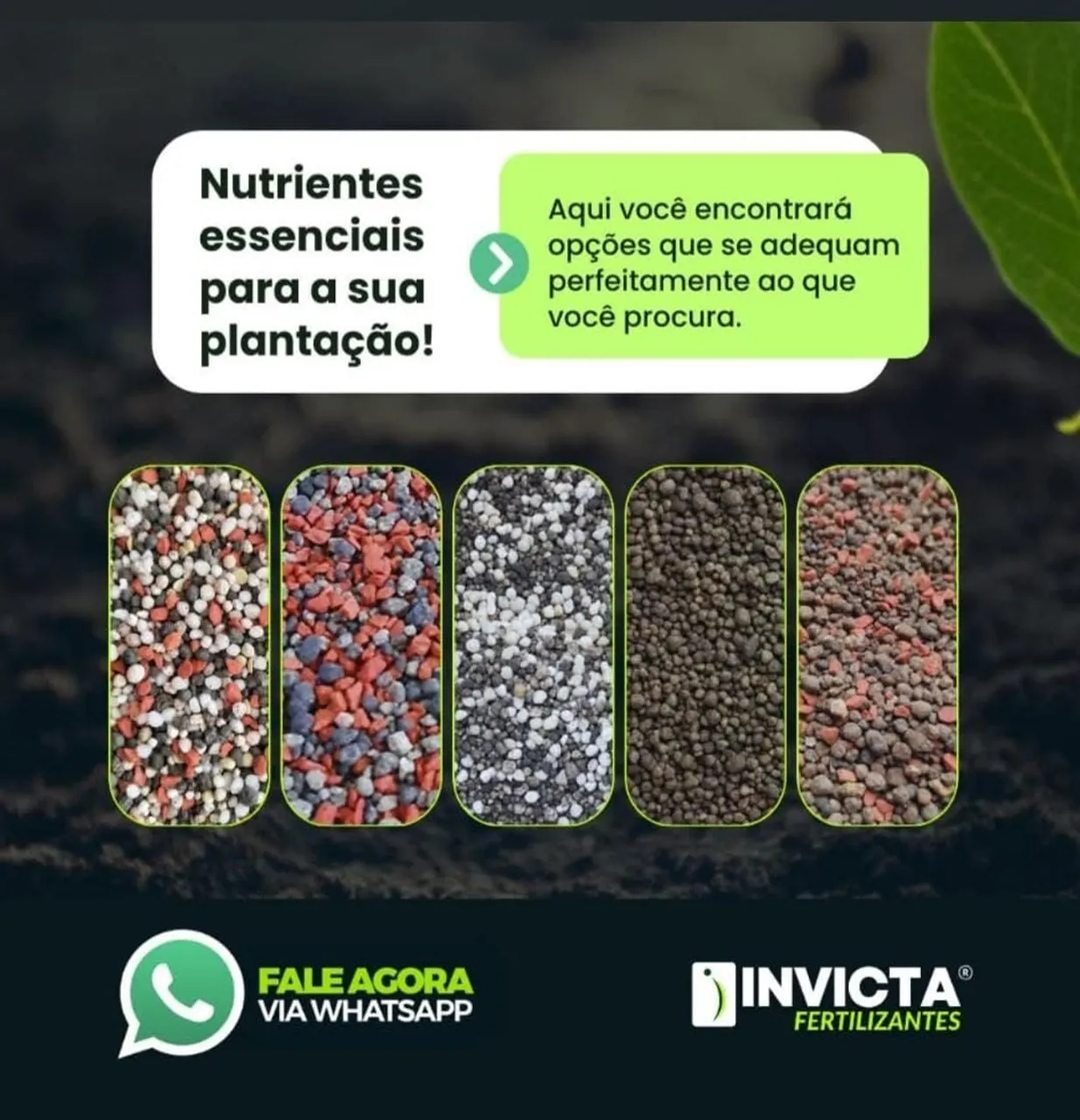 FERTILIZANTES INVICTA - Nutrientes Essenciais para sua Plantação