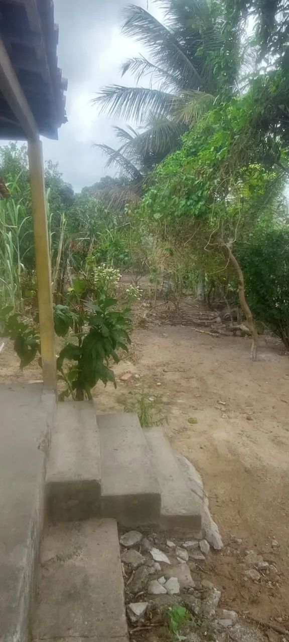 Chácara em Agrestina/PE à Venda (CH0054-DV) - Foto 4