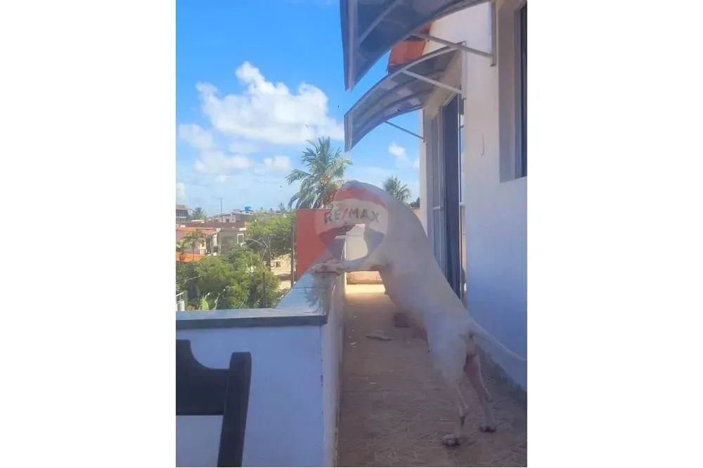 Apto Acolhedor em Porto de Galinhas. A 3 minutos da praia caminhando - Foto 2