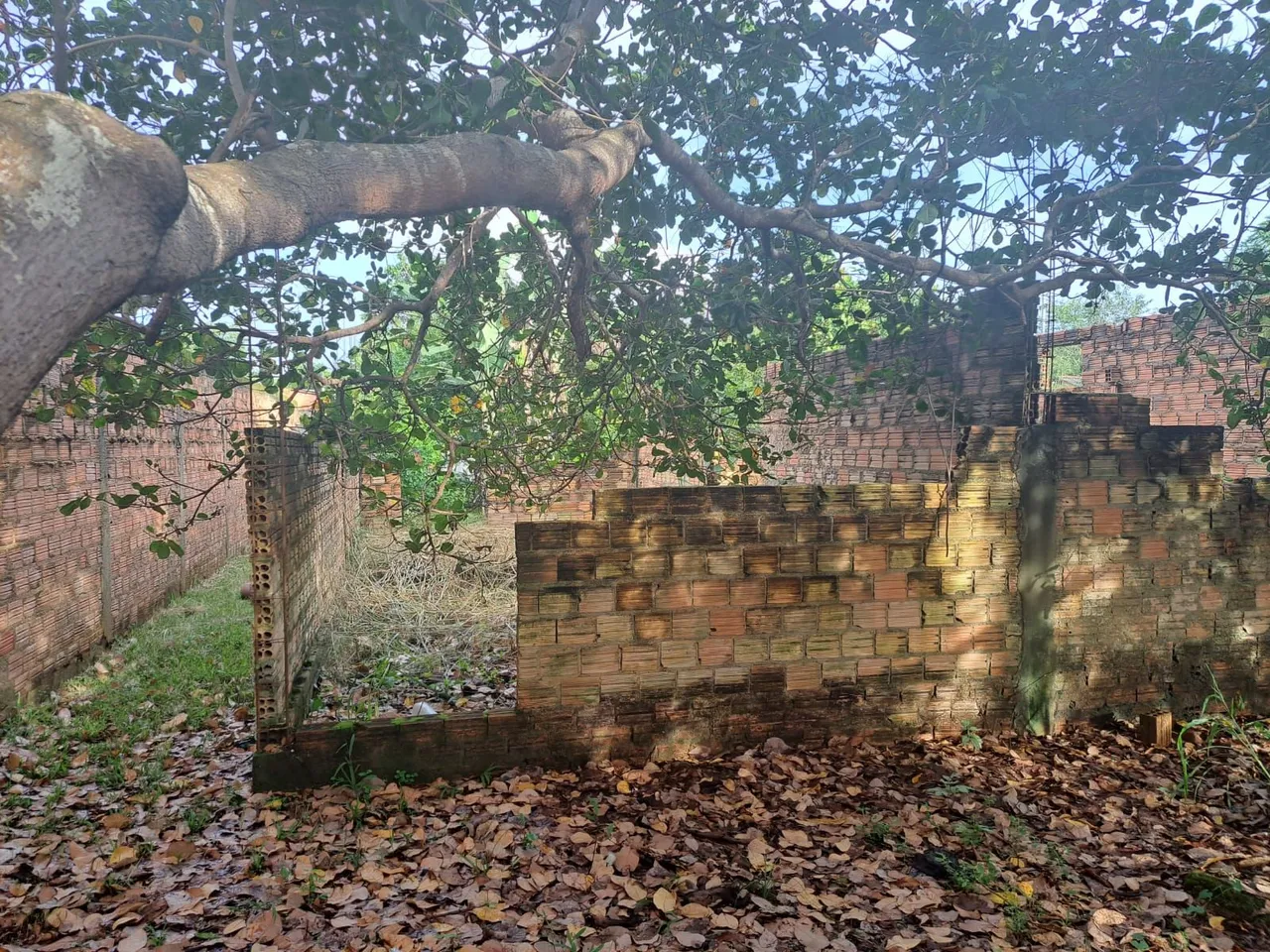 Terreno barato