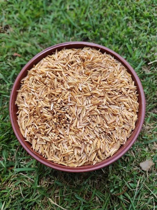 90 Litros Casca de Arroz in Natura para Cobertura de Solo - Foto 3