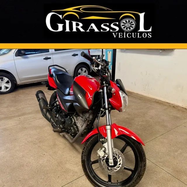 FACTOR 150 2023/2024 - Foto 3