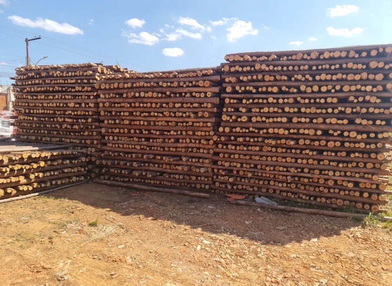 Escoramentos promoção 3,5 apenas 11.50$ - Foto 2