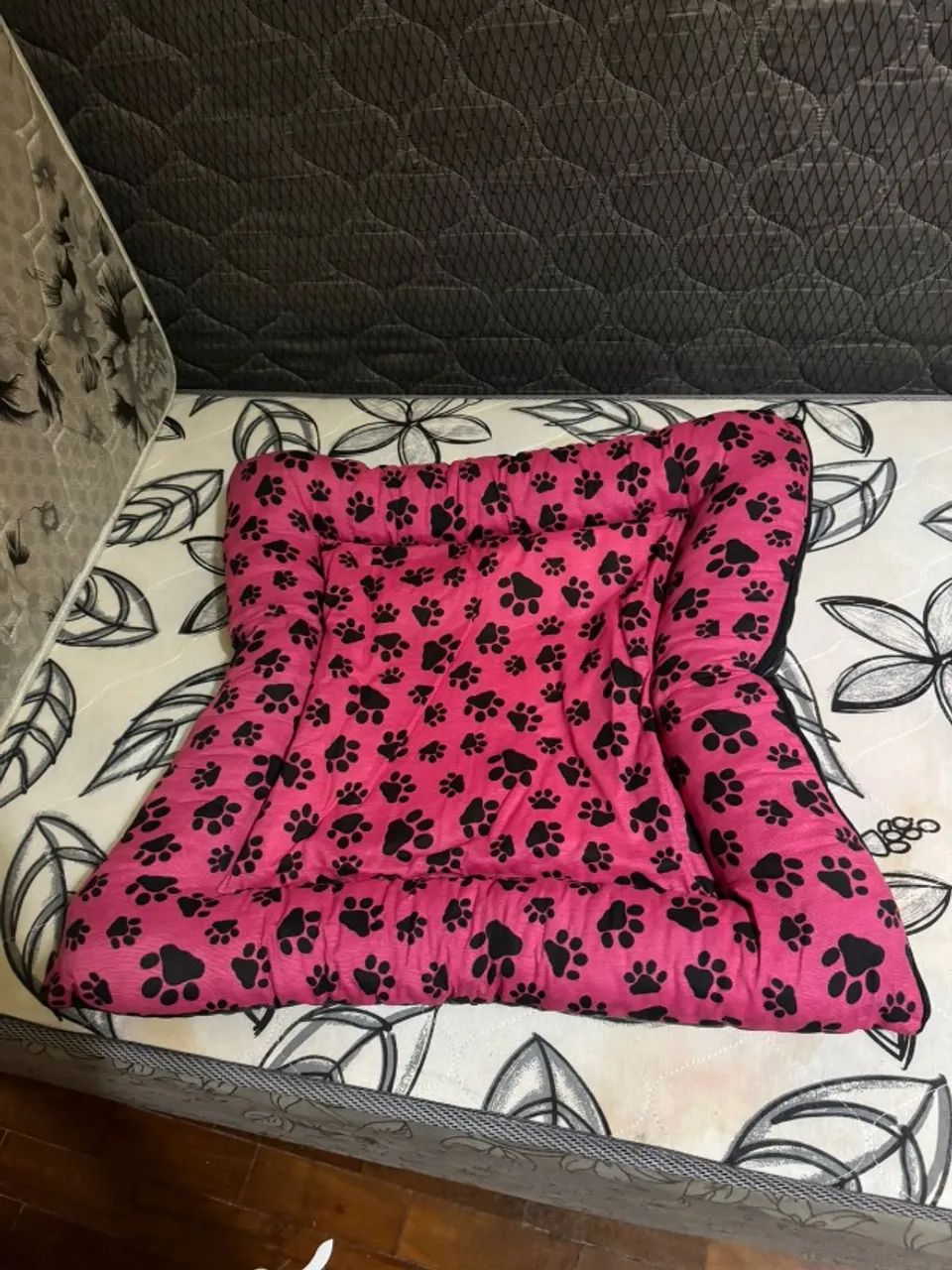 caminha pet - Foto 2