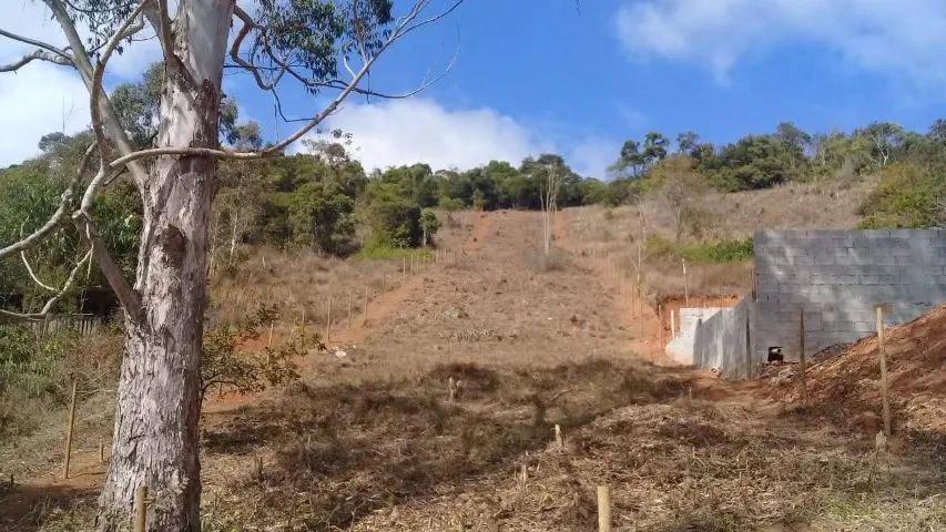terreno 3050m² - Foto 4
