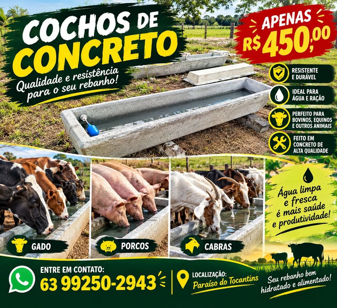 Vende se cochos  - Foto 2