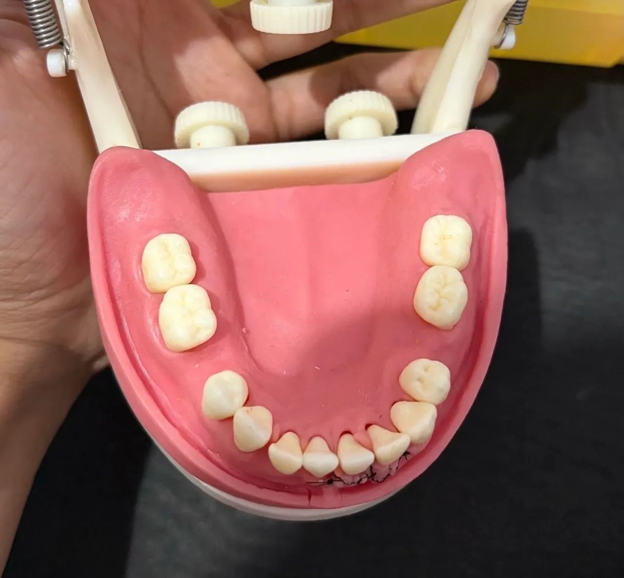 Manequim Periodontia - Pronew - Foto 2