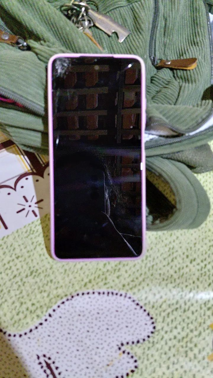 Celular motorola g04,funciona so que so conectado na tomada 