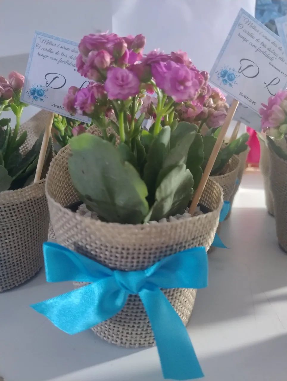 Lembrancinhas de suculentas decoradas - Foto 4
