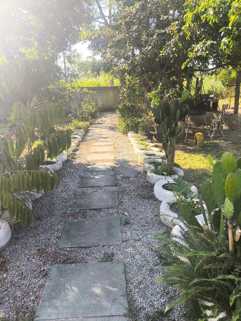 Chácara em Quissamã  - Foto 3