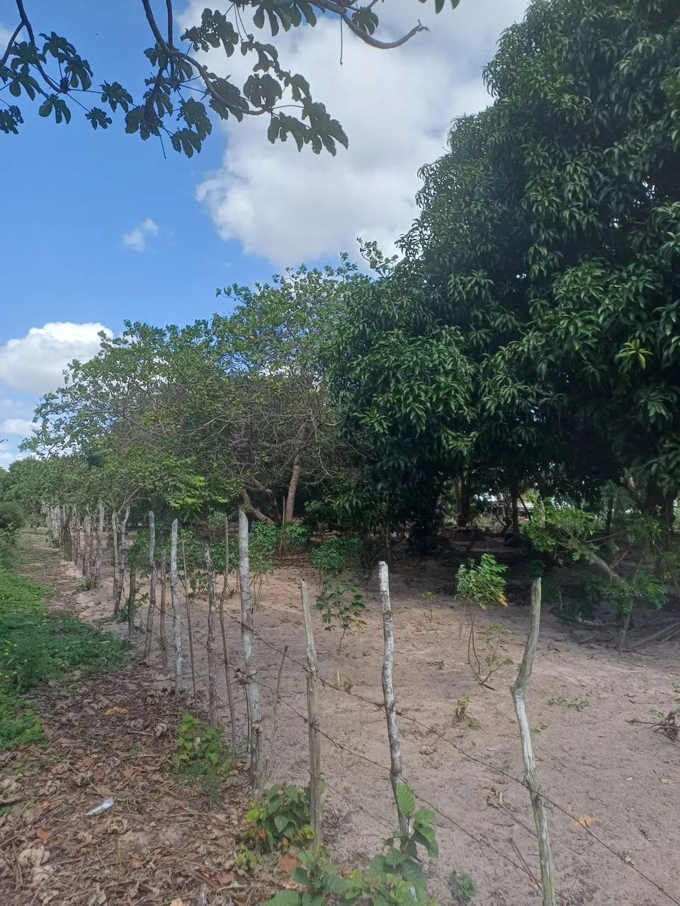 Terreno Nova Alvorada (S. G. Amarante/RN) - Foto 5