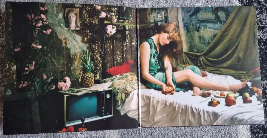 Disco de Vinil Florence + the Machine - Lungs (LP EUA 2010, capa dupla) - Foto 4