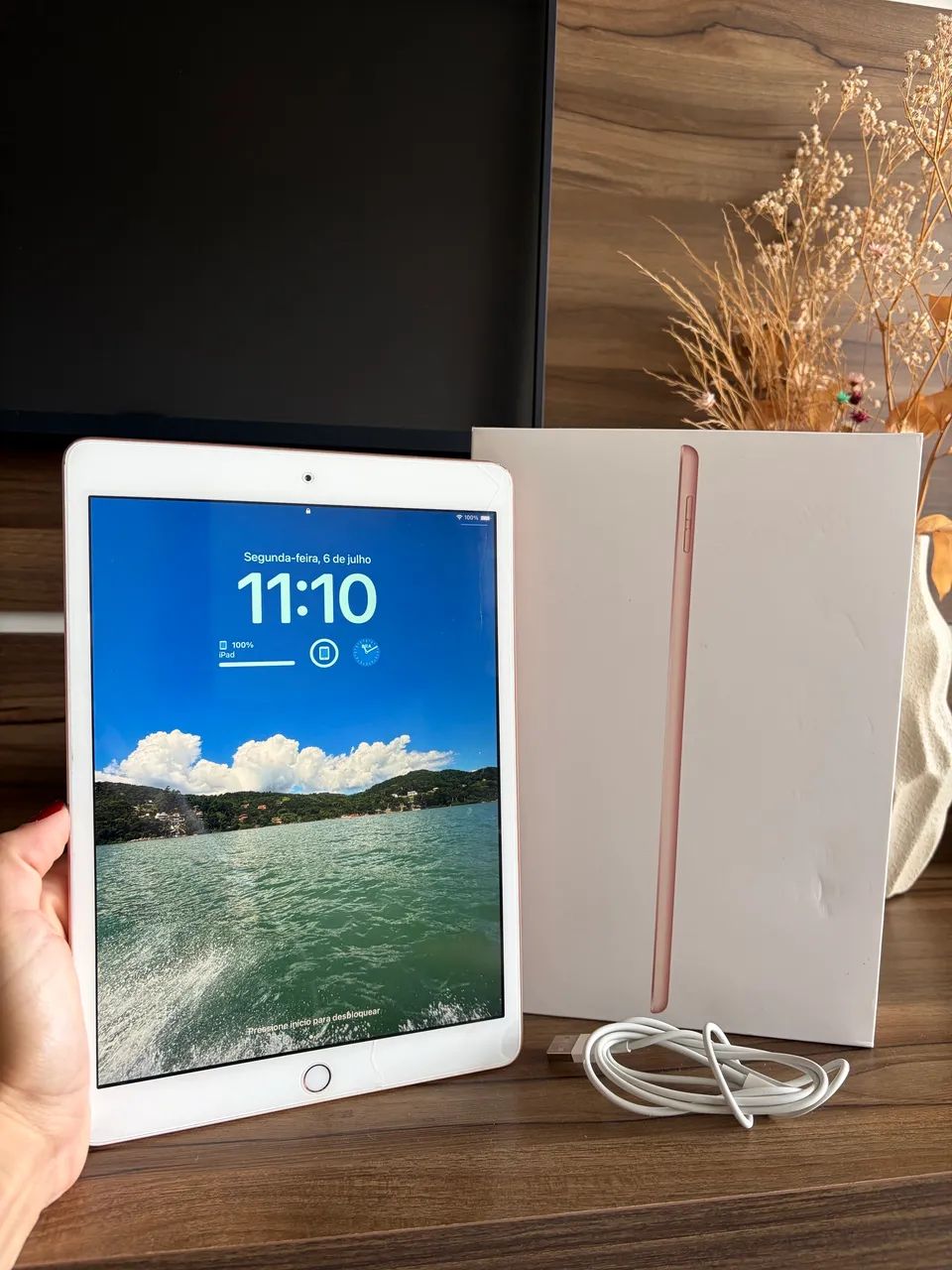 iPad 8ª geração 