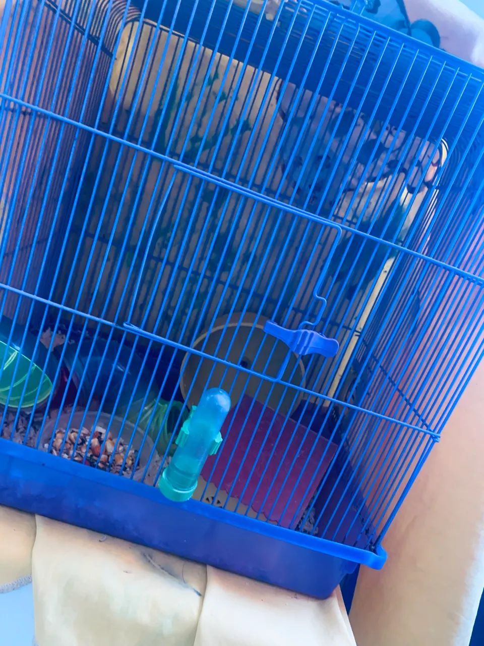 Hamster  - Foto 2