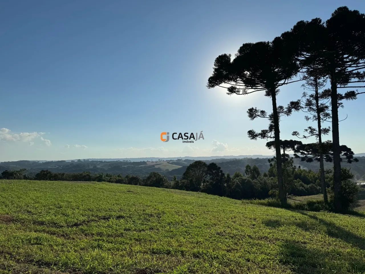 CHACARA RURAL em BALSA NOVA - PR, Rodeio Santo Antonio