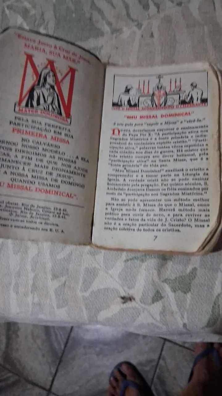 Vendo 2 Livros Sup Antigos e uma Santa.  - Foto 2