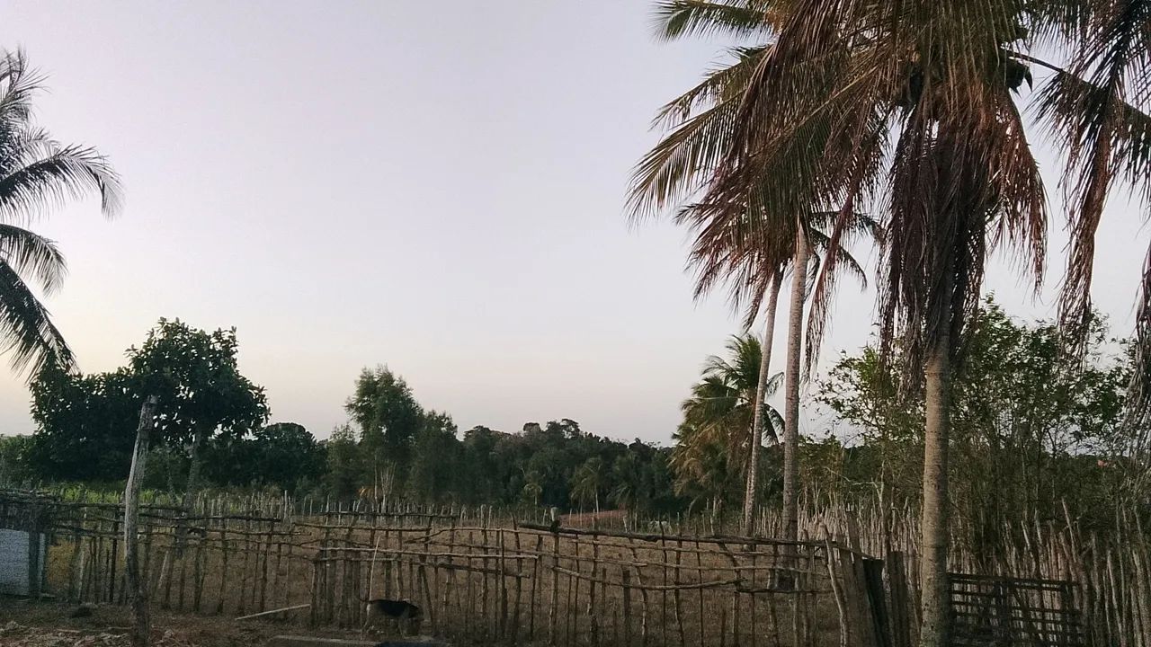 Vendo propriedade no povoado tombo  - Foto 10