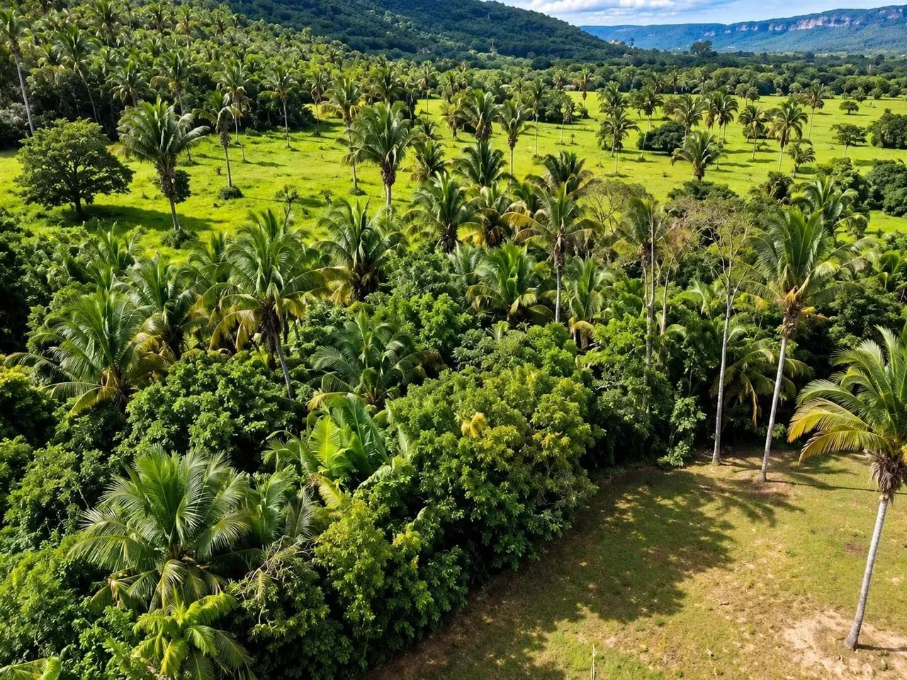 Fazenda a venda em Palmas - Tocantins!!! - Foto 5