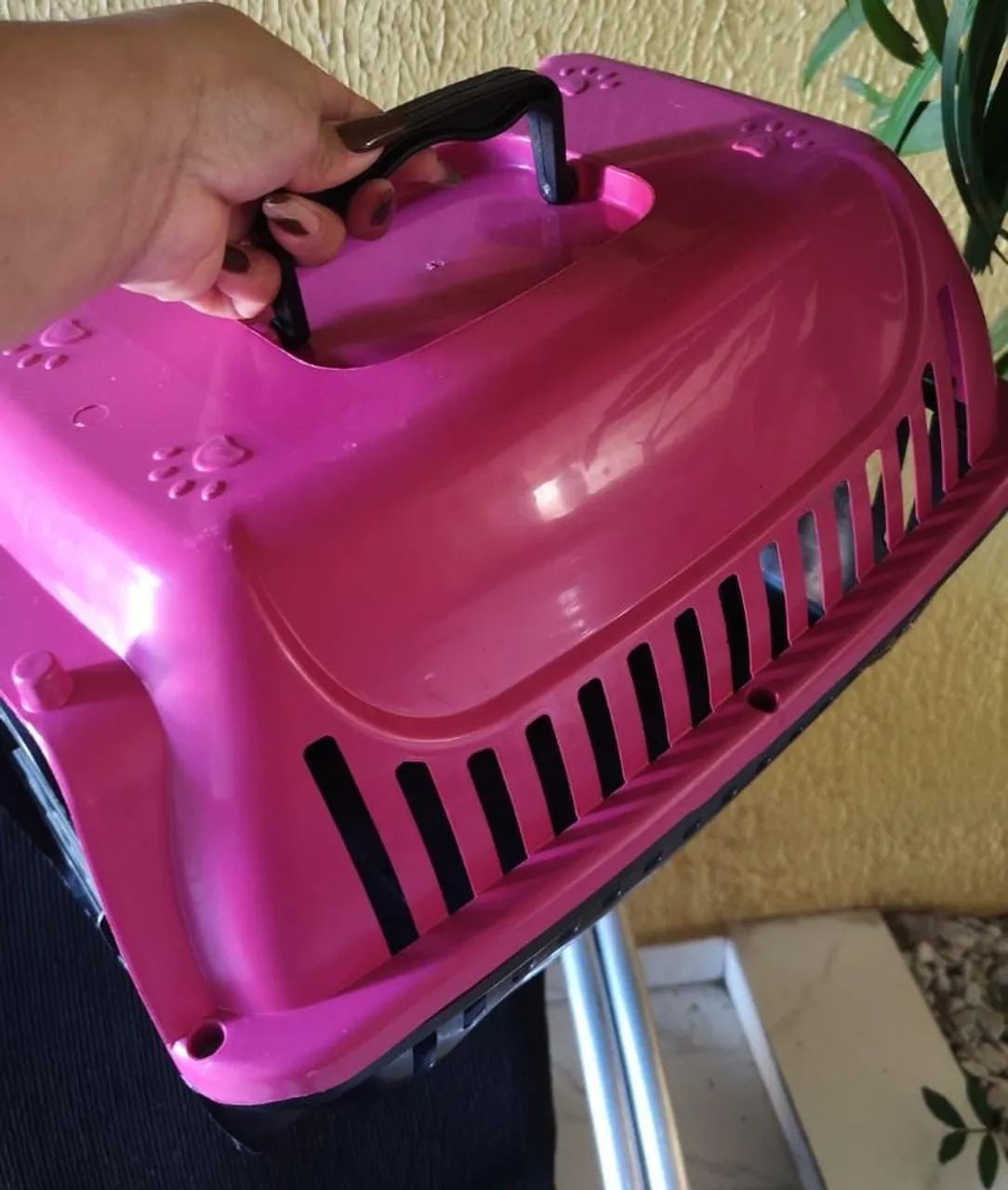 Caixa de transporte para gatos ou cachorro pequeno  - Foto 3