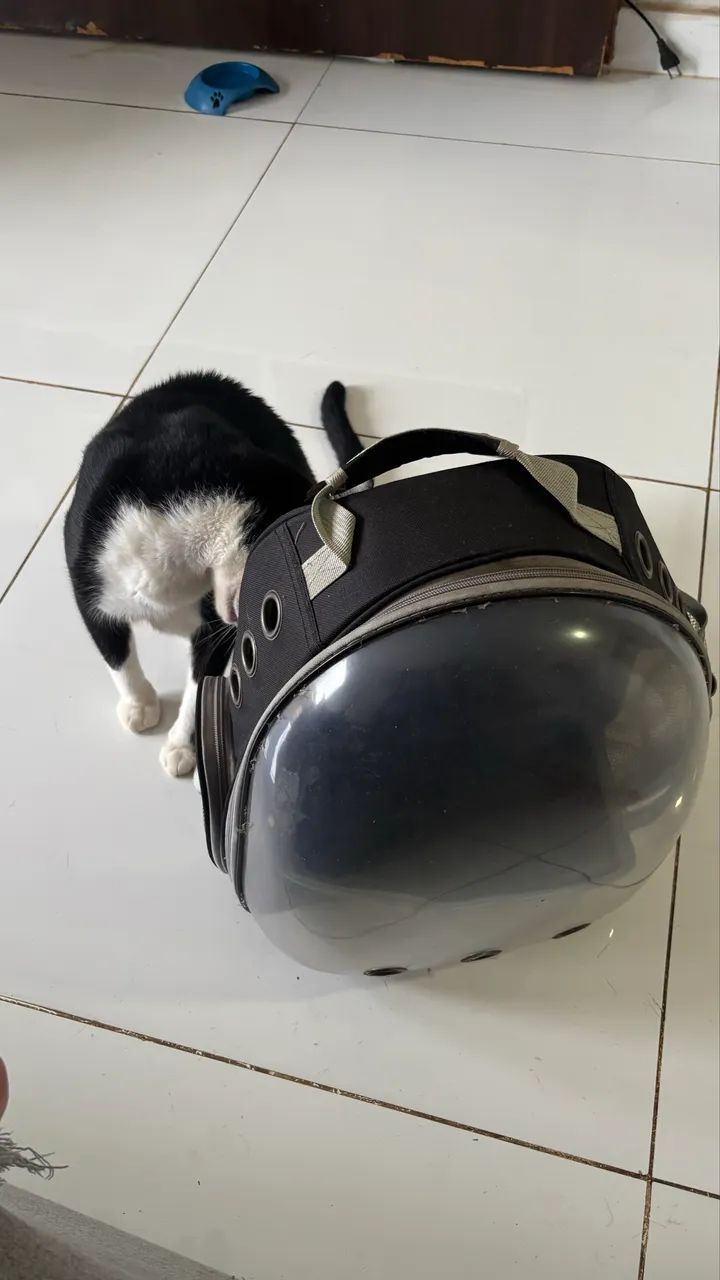 Mochila astronauta 