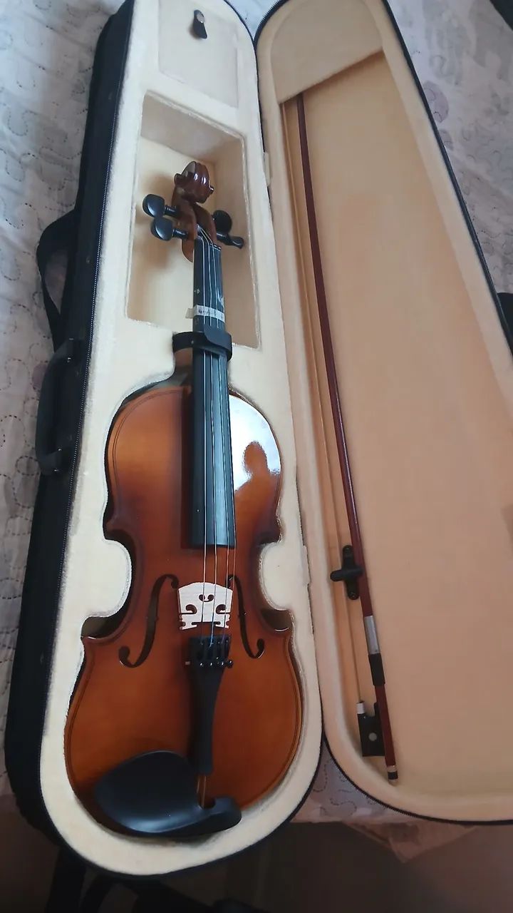 Violino