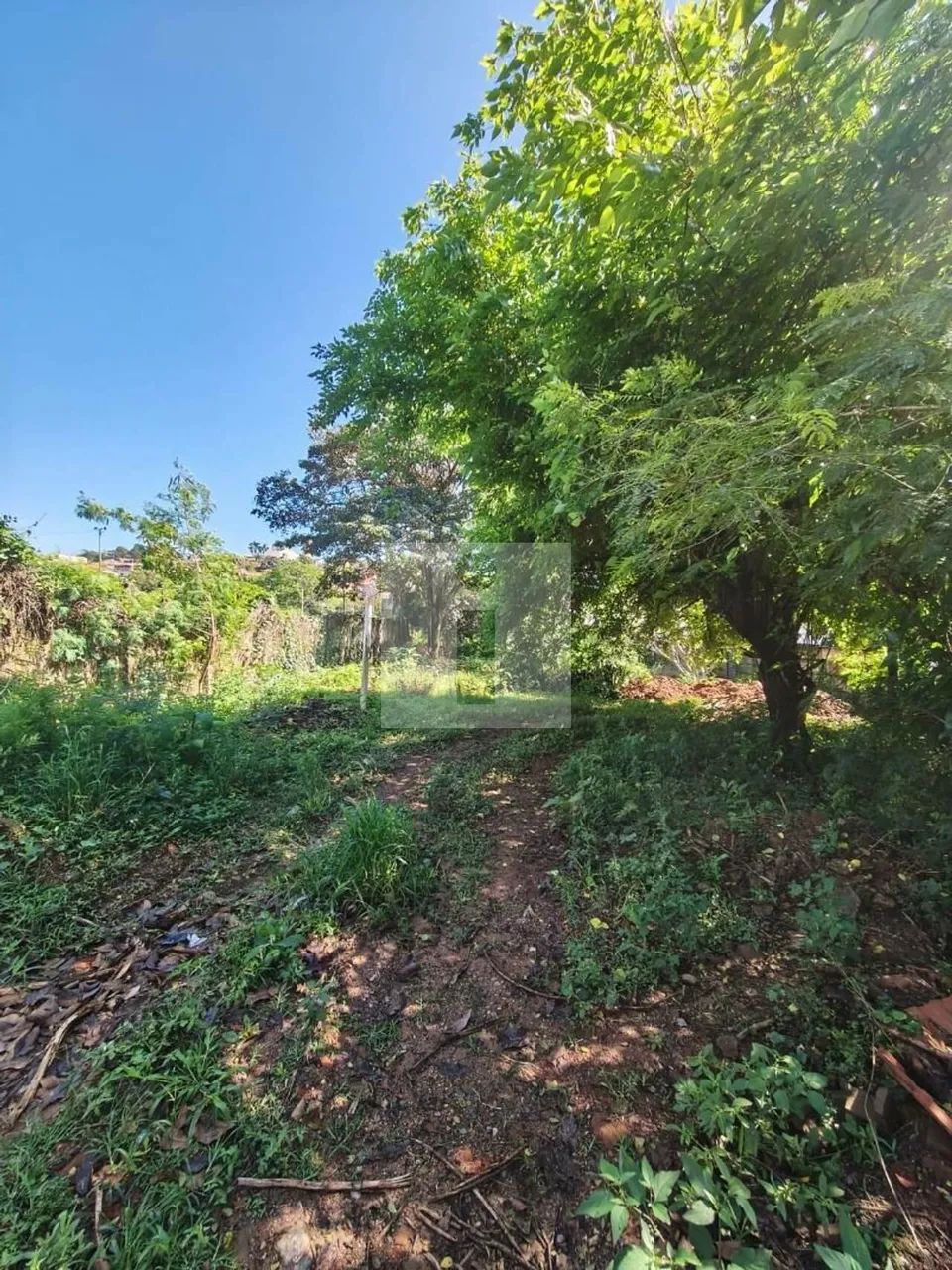 TERRENO PLANO A VENDA EN SOUSAS - 541M² - Foto 3