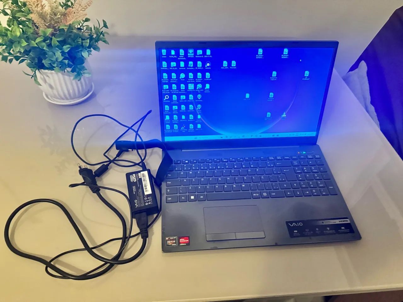 Sony vaio 25 ram