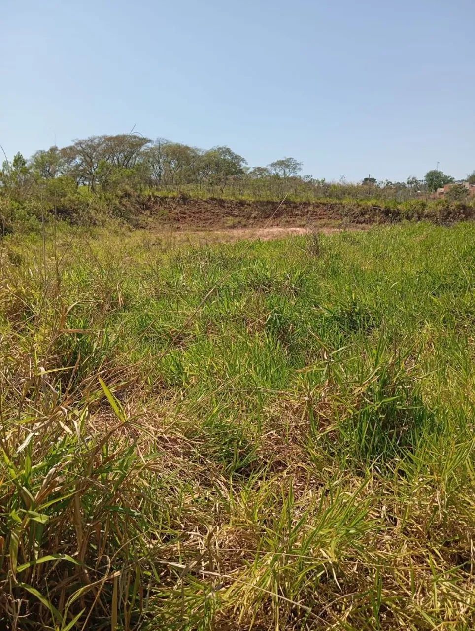 Terrenos a venda 