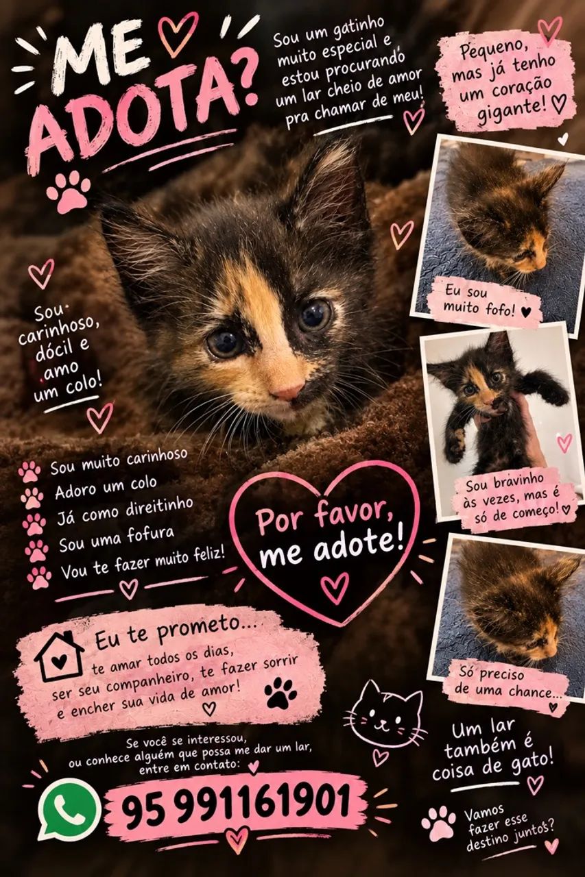 ADOÇÃO RESPONSÁVEL! 