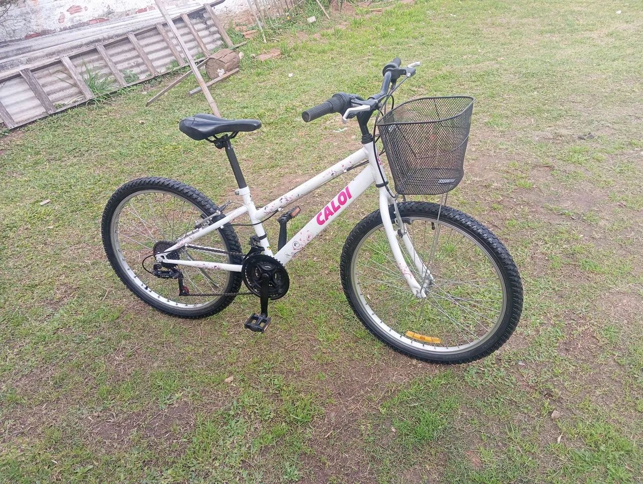 TORRO CALOI CESI ARO 24 ??