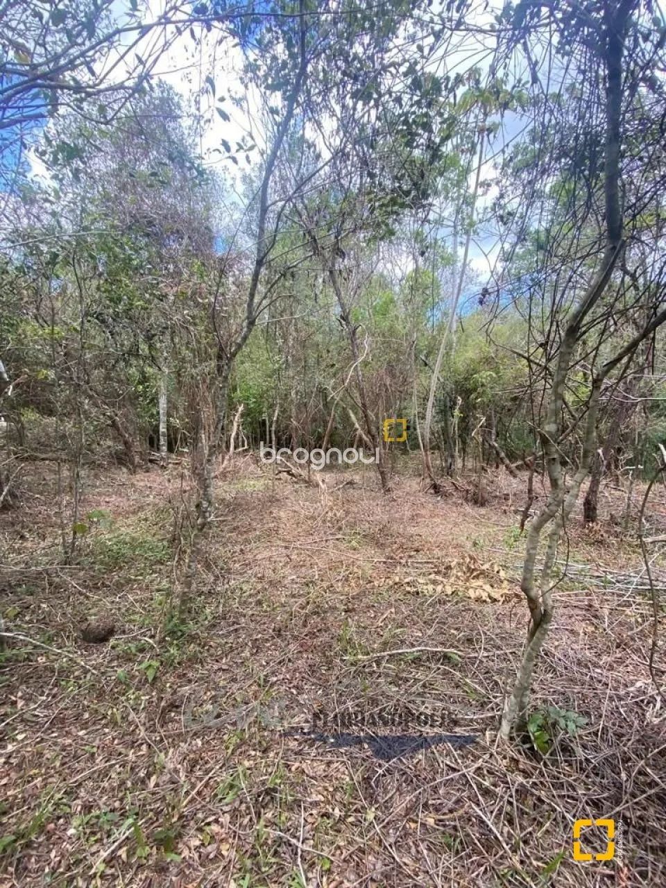 Terreno Ratones - Florianópolis/SC - Foto 5