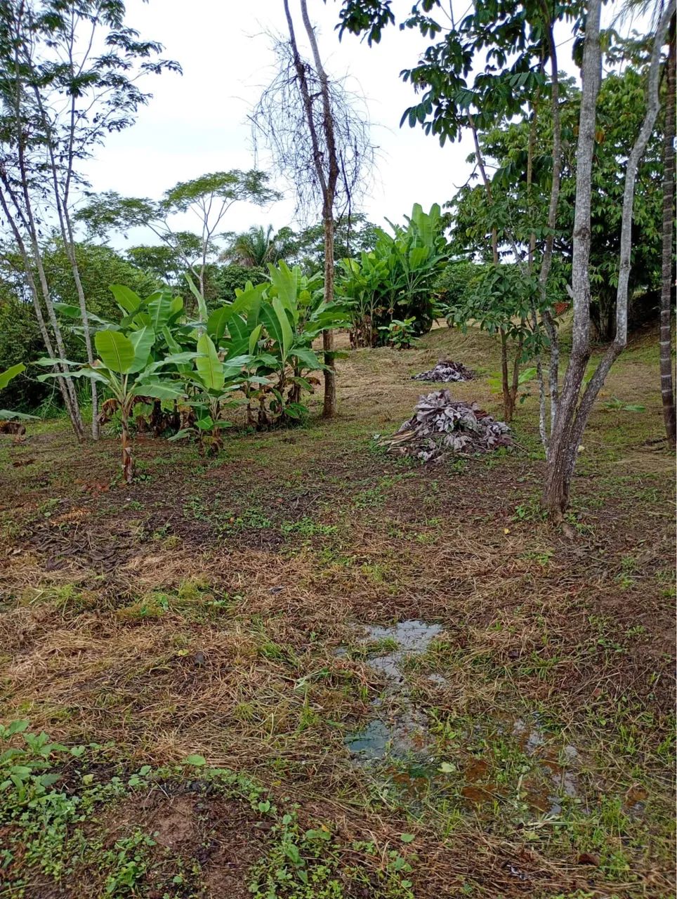 Chácara a venda ramal novo horizonte  - Foto 5