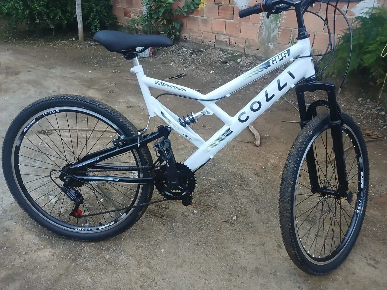 Bicicleta 