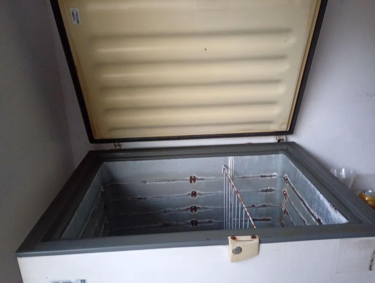 Freezer Consul 