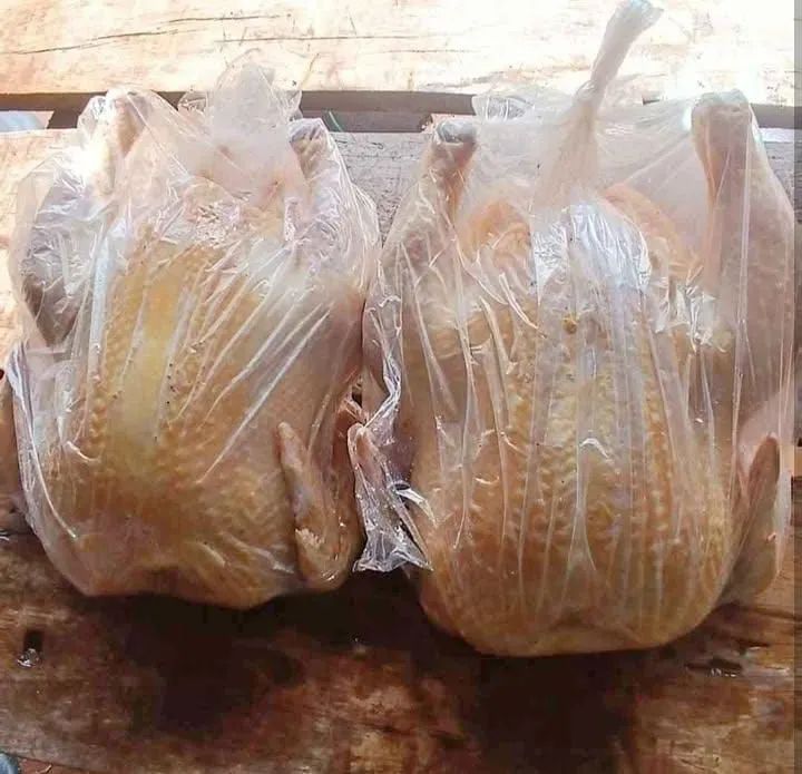 Galinhas caipiras frango caipiras vivos e abatidos  - Foto 5