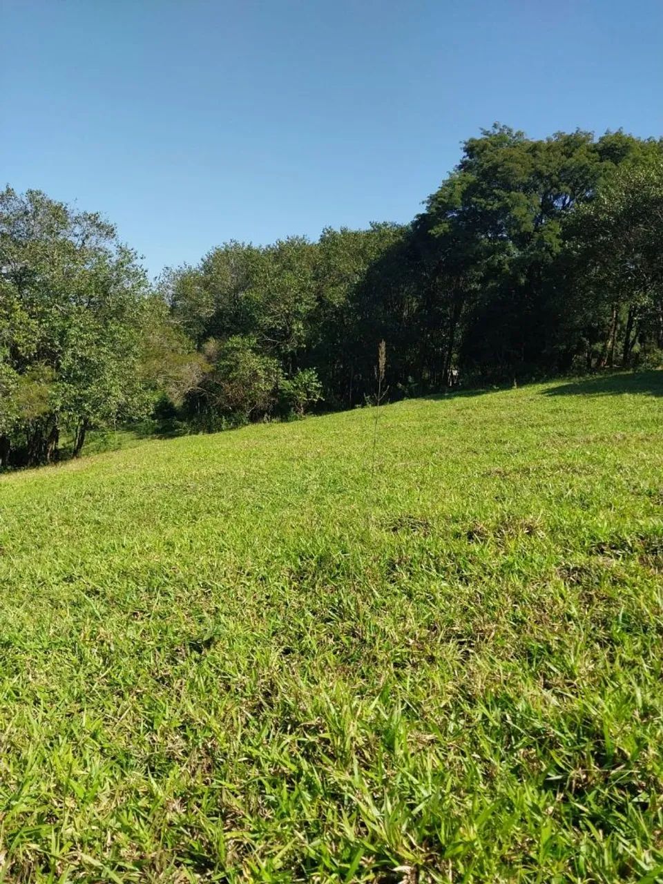 Sítio próximo a Uraí/Londrina  - Foto 4