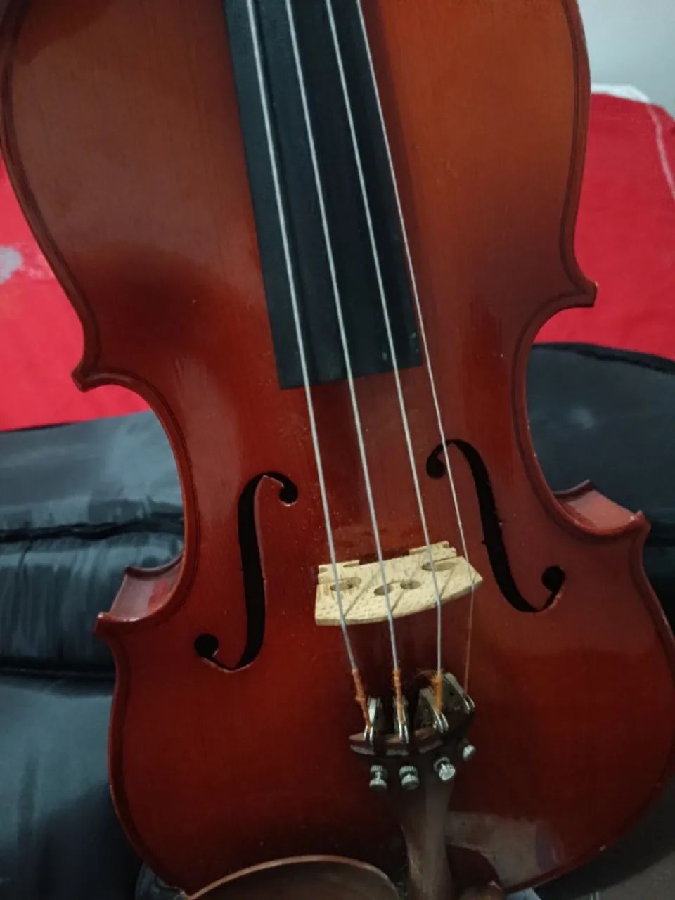 Viola erudita VK 160 Eagle - Foto 3