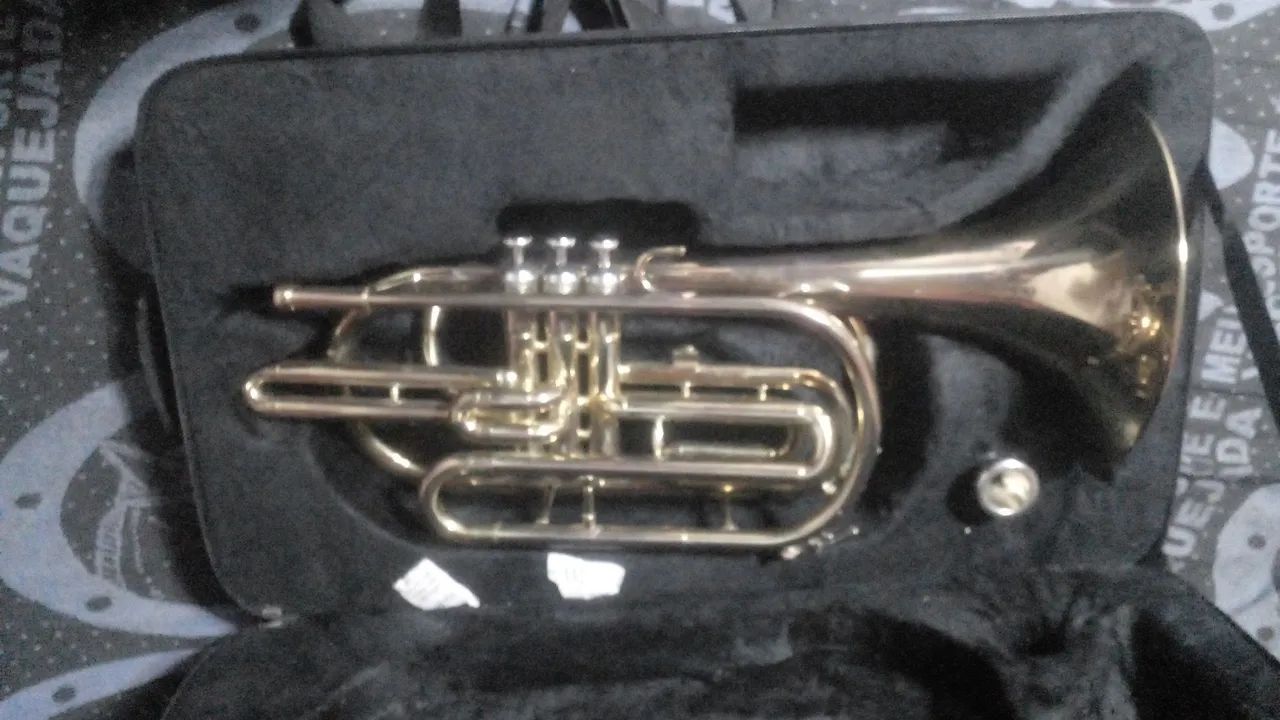 Trombone de Pisto - Foto 2