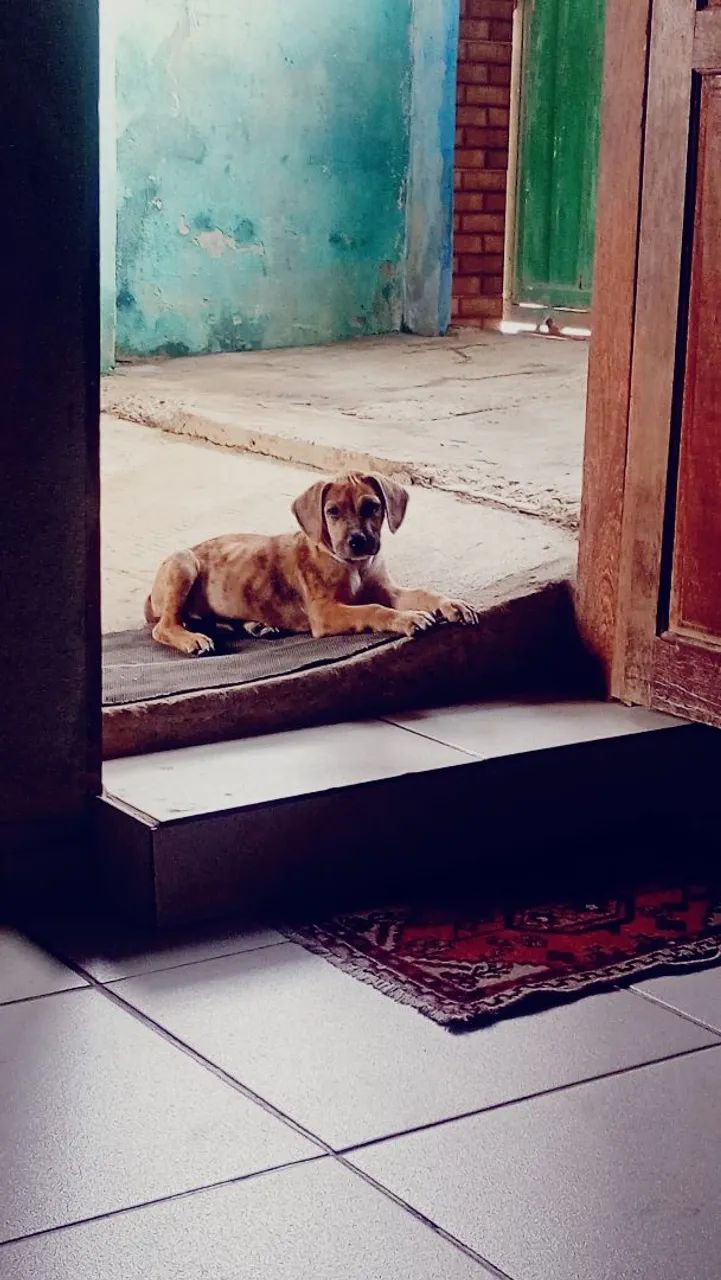 Doação 