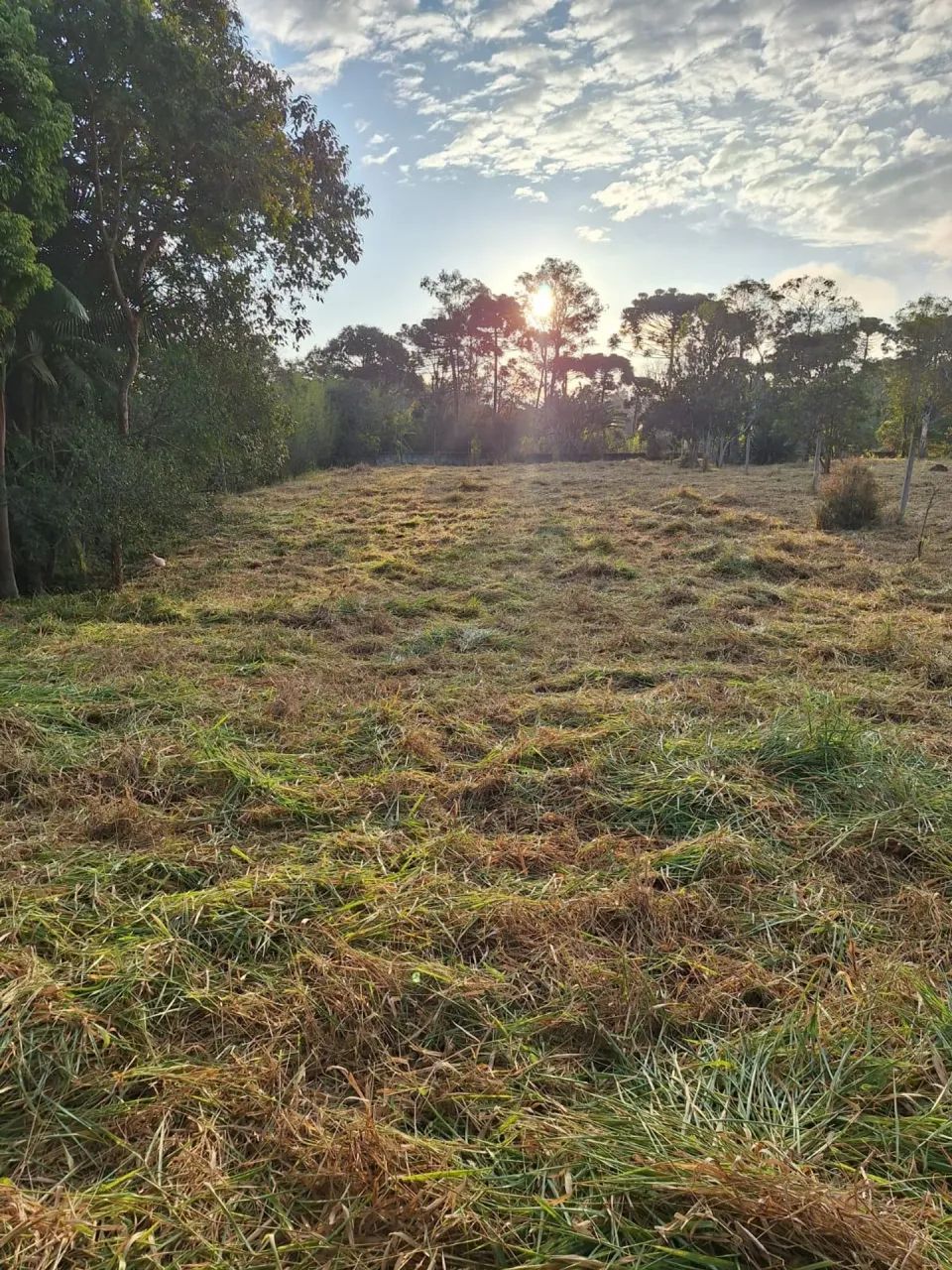 terreno varinhas - Foto 2