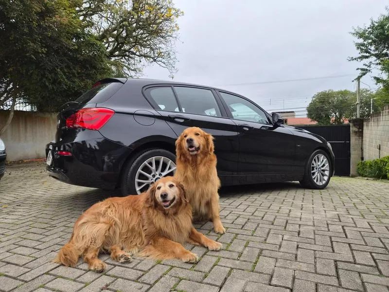 BMW 120I A Sport 2.0 Activeflex 16V Aut. 2016