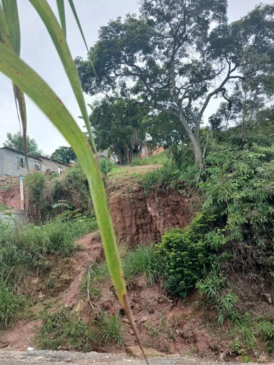 Foto - Itaquaquecetuba - Parque Nossa Senhora das Graças