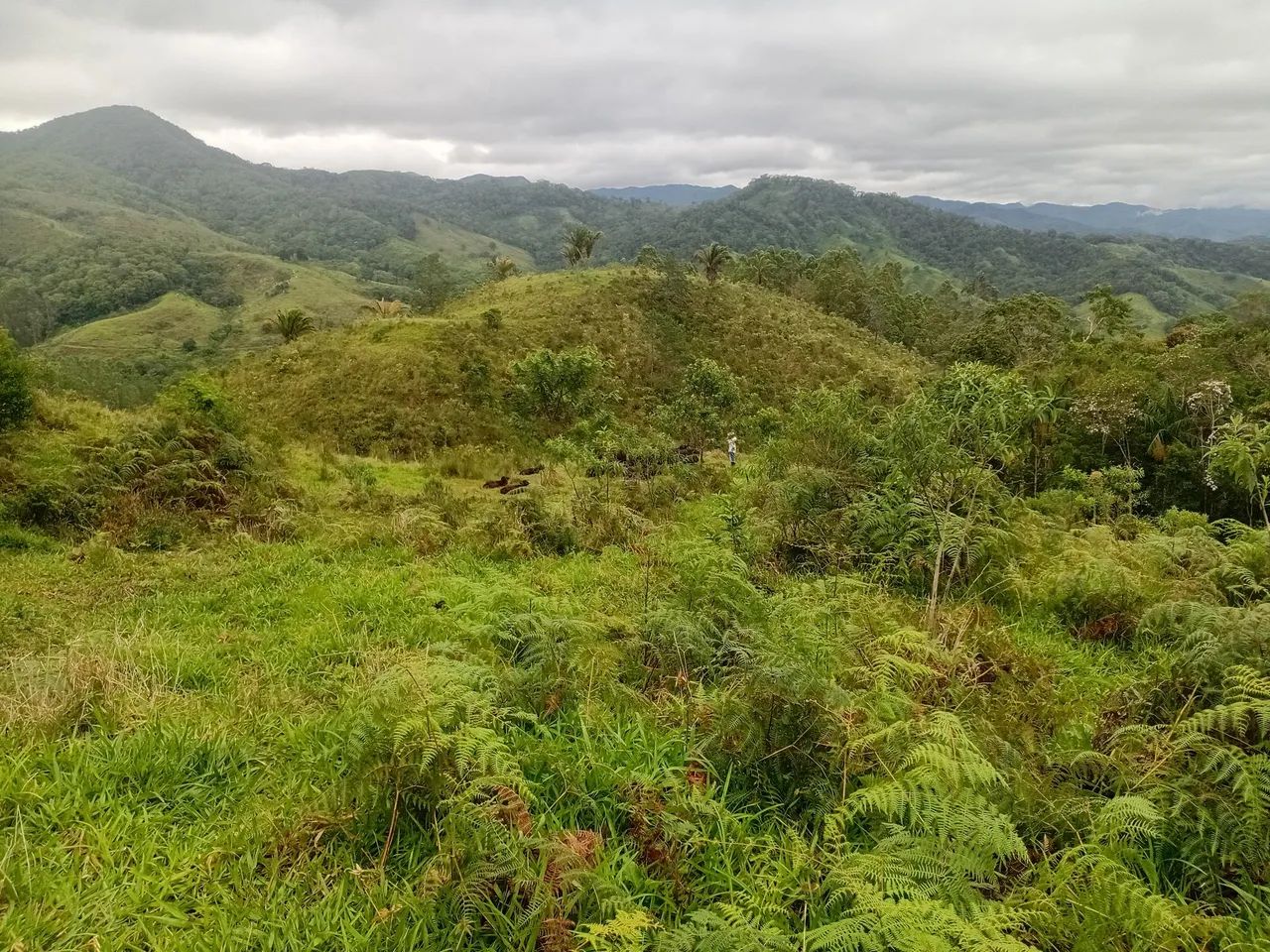 Sitio em cajati-Sp